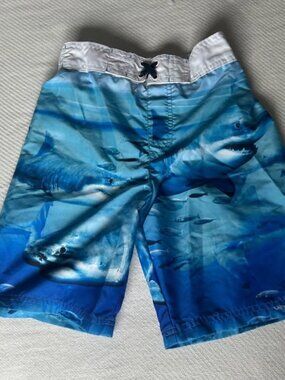 Boys Shark Print Swim Shorts Size L 10–12